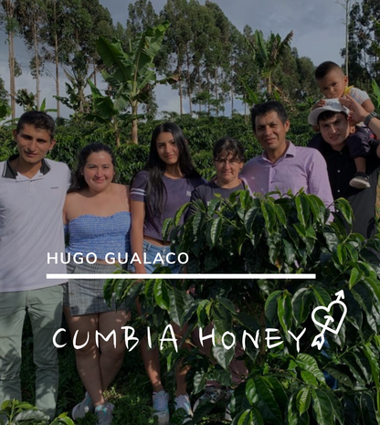 Origen Huila San Adolfo | Bourbon Rosado Honey