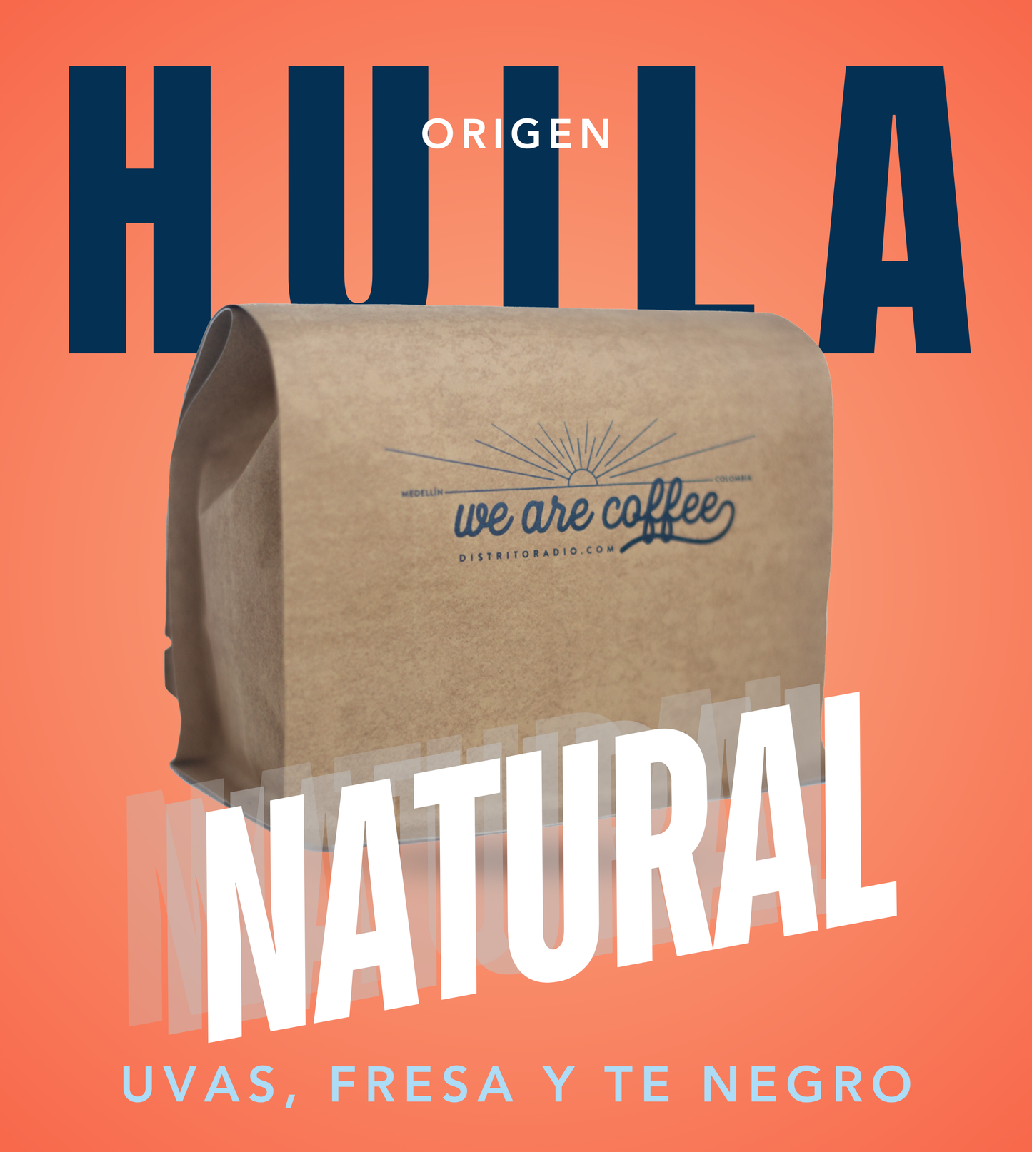 Origen Huila San Adolfo | Pacamara Natural