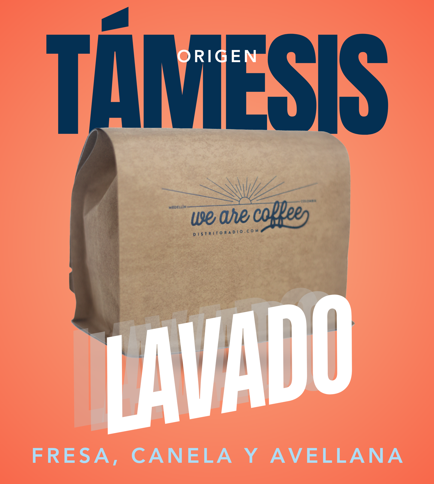 Origen Tamesis Antioquia | Caturra Lavado