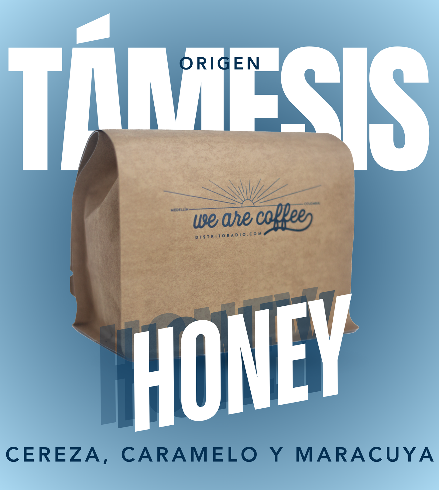 Origen Támesis Antioquia | Caturra Honey