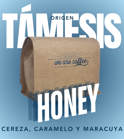 Origen Támesis Antioquia | Caturra Honey